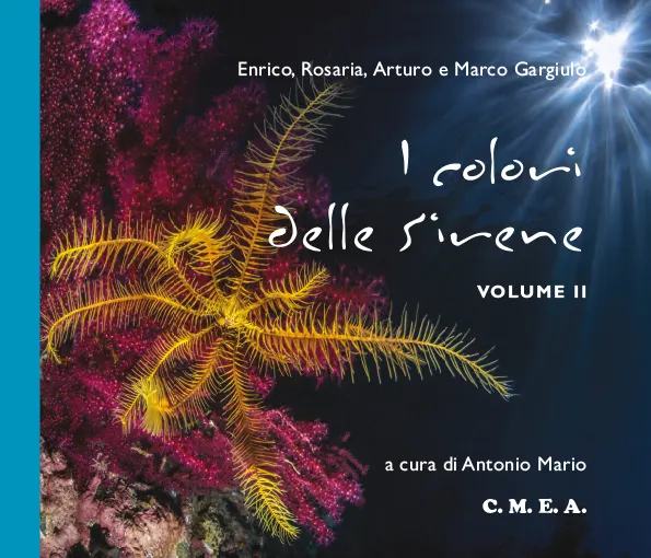 I colori delle sirene - volume 2