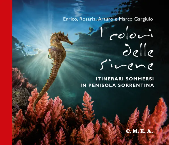 I colori delle sirene - Itinerari sommersi in penisola sorrentina