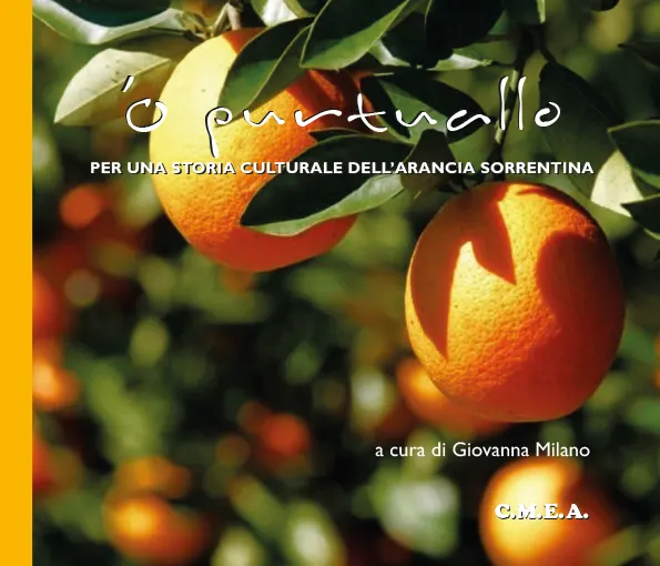 'O Purtuallo - per una storia culturale dell'arancia sorrentina