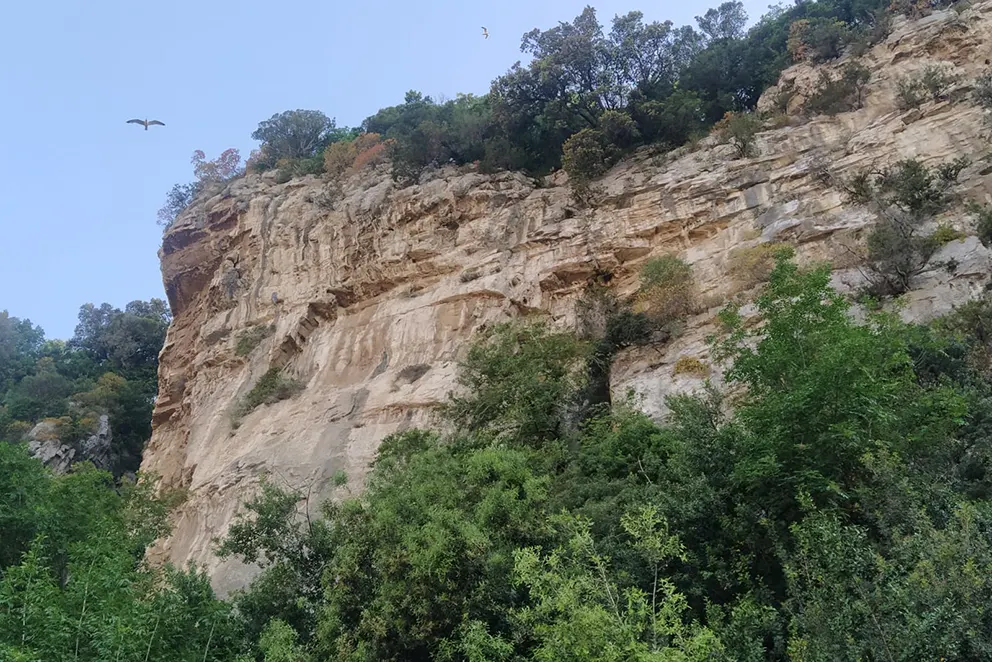 La Grotta Nicolucci-Lorenzoni>